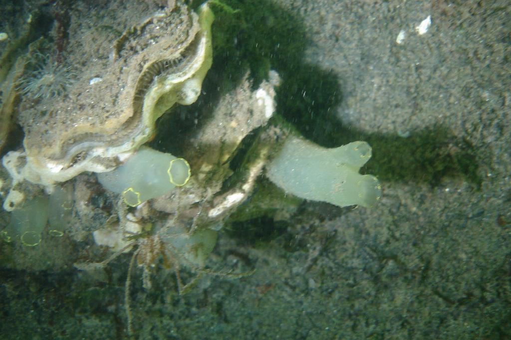 2008-08-31 10-57-56.JPG